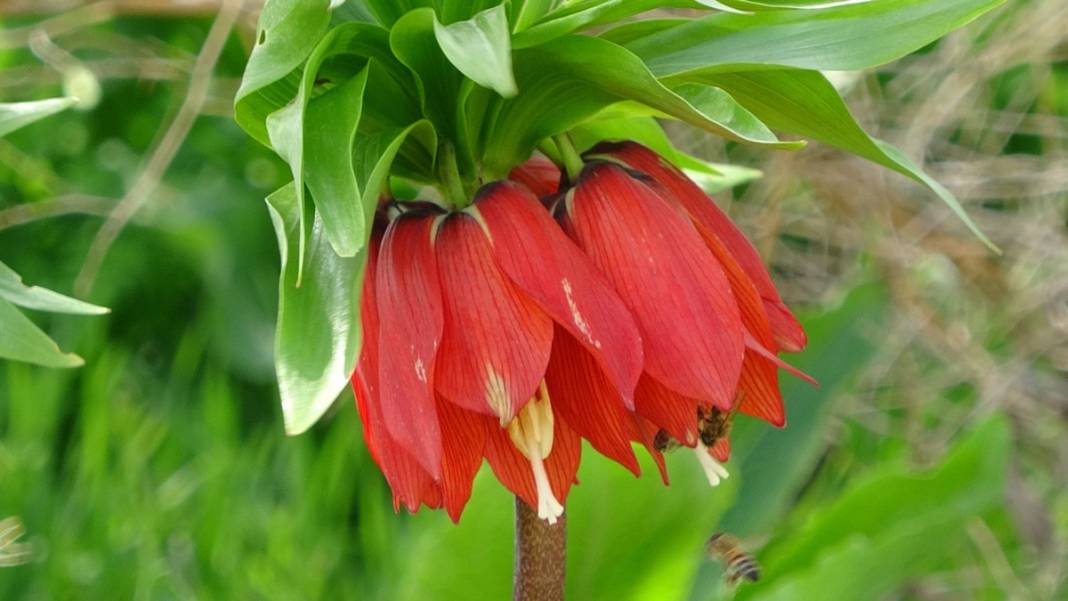 Bu insanlar neye bakıyor? Gece-gündüz nöbet tutuyorlar, ilk kez görenler şaştı kaldı! 28